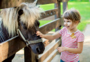 Kleines Mädchen streichelt ein Pony