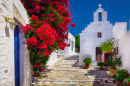 Mediterranean Street, Amorgos, Griechenland