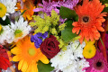 Bunte Blumen