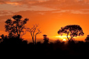 Kruger National Park sunset