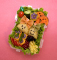 Pilze Bento