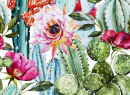 Blühendes Kaktus-Aquarell