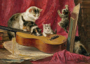 Katzen musizieren