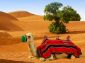 Kamel auf den Sanddünen