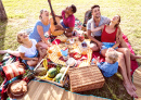 Glückliche Familie, die Spaß beim Picknick hat