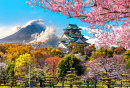 Burg Osaka, Fuji, Kirschblüte