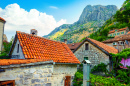 Orangendächer in Kotor, Montenegro