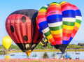 Internationales Ballonfestival in Thailand
