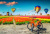 Heißluftballons über Tulpenfeldern