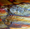 puzzle water reflections 2