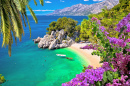 Punta Rata Beach, Dalmatien, Kroatien