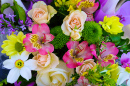 Alstroemeria, Rosen und Chrysanthemenblüten
