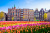 Alte Gebäude und Tulpen in Amsterdam