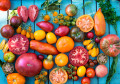 Bunte Bio-Tomaten