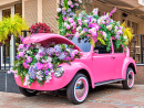 Rosa Auto und Blumen