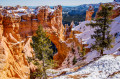 Bryce Canyon Nationalpark, Utah, Vereinigte Staaten