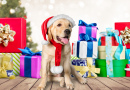 Niedlicher Hund und Weihnachtsgeschenke