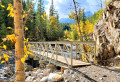 Brücke über das Rocky River Bed in einem Wald