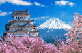 Fuji-Gebirge und Burg, Japan