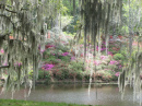 Middleton Place South Carolina