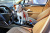 Jack Russell Terrier im Auto