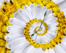 Surreale Blume Fraktale Uhr