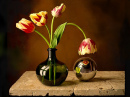 sphere & tulips