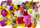 Sommer-Blumen-Arrangement