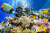 Tropische Fische und Korallen im Roten Meer