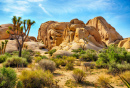 Joshua Tree Nationalpark, Kalifornien, USA