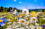 Feld der Wildblumen