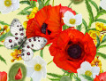 Mohn, Anemonen und Schmetterlinge