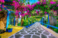 Bunte Bougainvillea-Blumen, Kreta, Griechenland