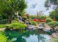 Wasserfall und Rote Brücke im tropischen Garten