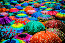 Bunte Regenschirme