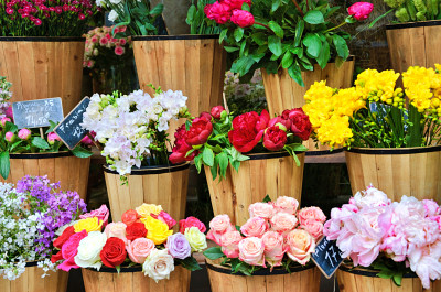 Eintritt in einen Blumenladen in Paris, Frankreich