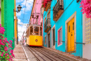 Gelbe Straßenbahn auf einer Straße in Lissabon, Portugal