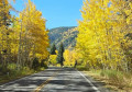 Independence Pass Through the Aspens