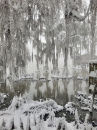 Puzzle Frozen Bayou photo by Lauren Przyybyl