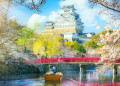 Schloss Himeji mit Kirschblüte, Osaka, Japan