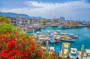 Kyrenia Harbor