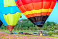 Ballon-Fiesta, Singha Park, Thailand