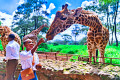 Karen Giraffe Centre, Nairobi, Kenia