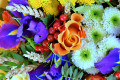 Nahaufnahme des bunten Blumenarrangements