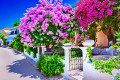 Haus mit Bougainvillea