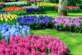 Fabelhafter Garten im Keukenhof, Niederlande