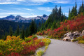 Mount Rainier Nationalpark, Bundesstaat Washington, USA