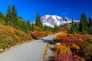 Bunte Landschaften des Mount Rainier im Herbst