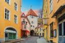 Altstadt von Tallinn, Estland