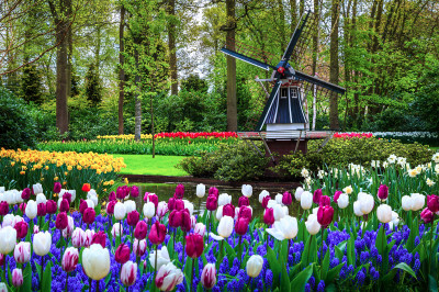 Berühmter Keukenhof-Garten, Niederlande